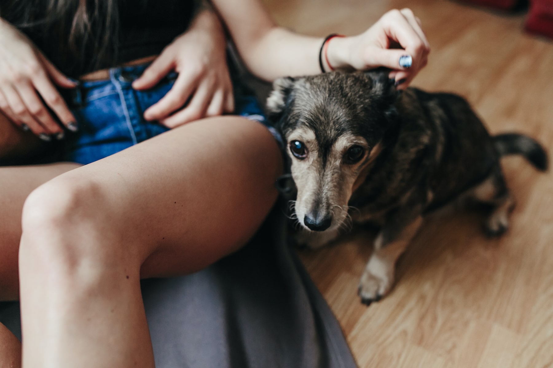Pet-Friendly Student Apartments Near UC Berkeley