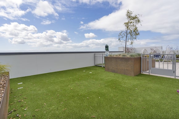 Rooftop Dog Run