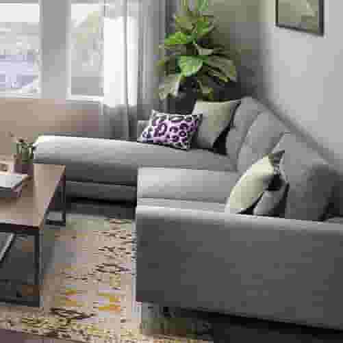 Student 4 Bedroom Apartments