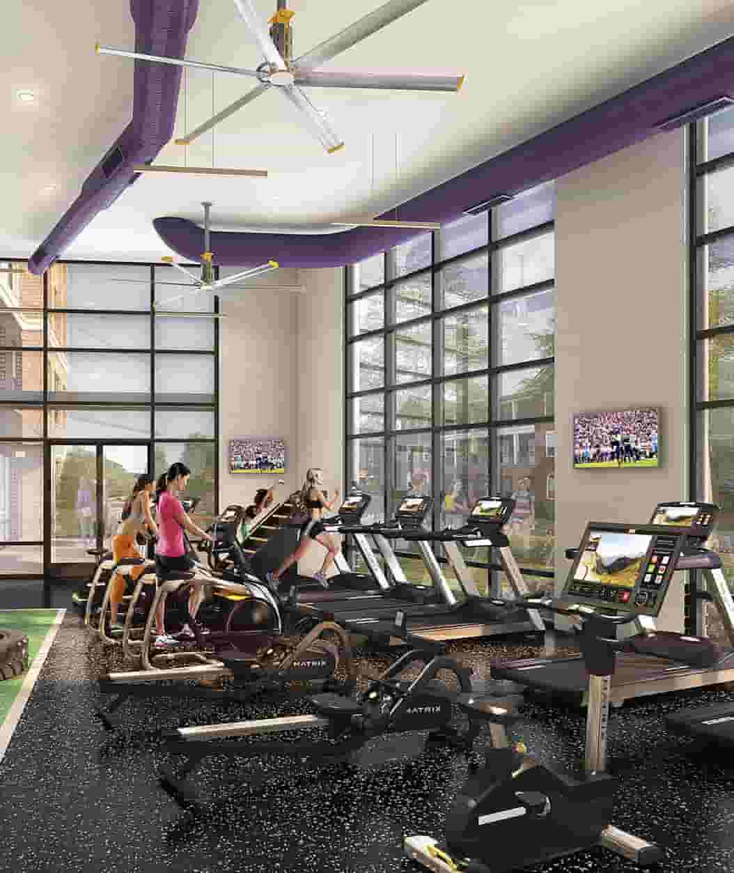 Studying working out and running on treadmills in the Fitness Center