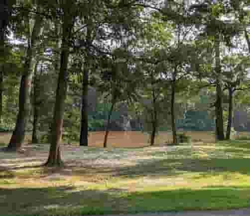 Tar River Park Walkway