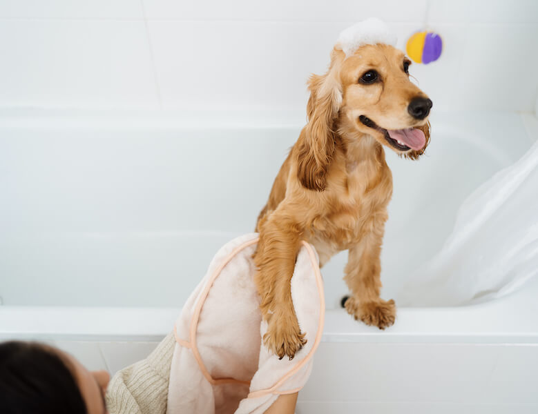 The Jolly Roger resident washing her puppy in a bathtub