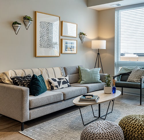 Student 4 Bedroom Apartments