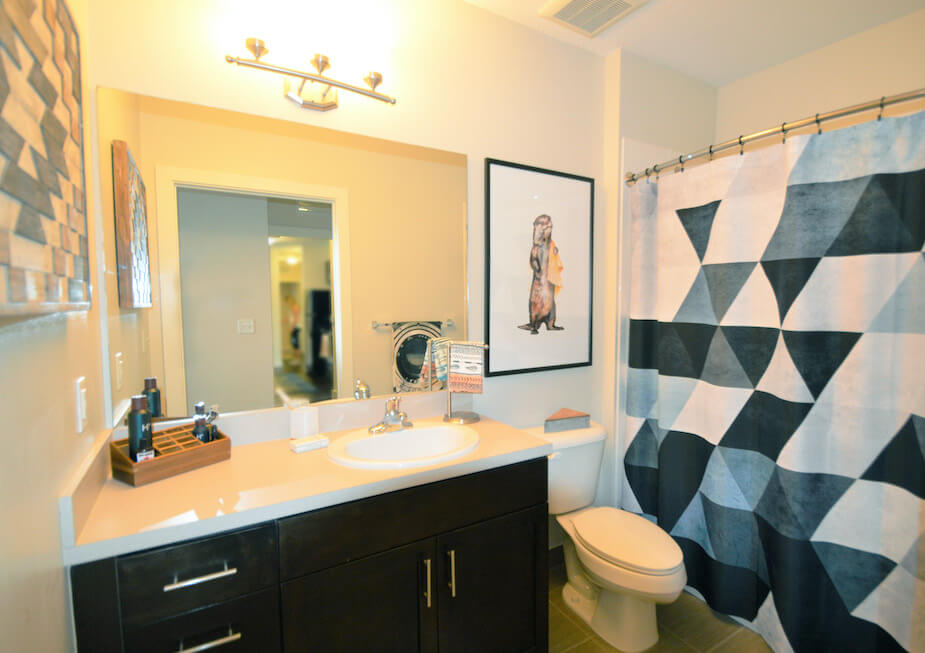 Student Apartment near FAU